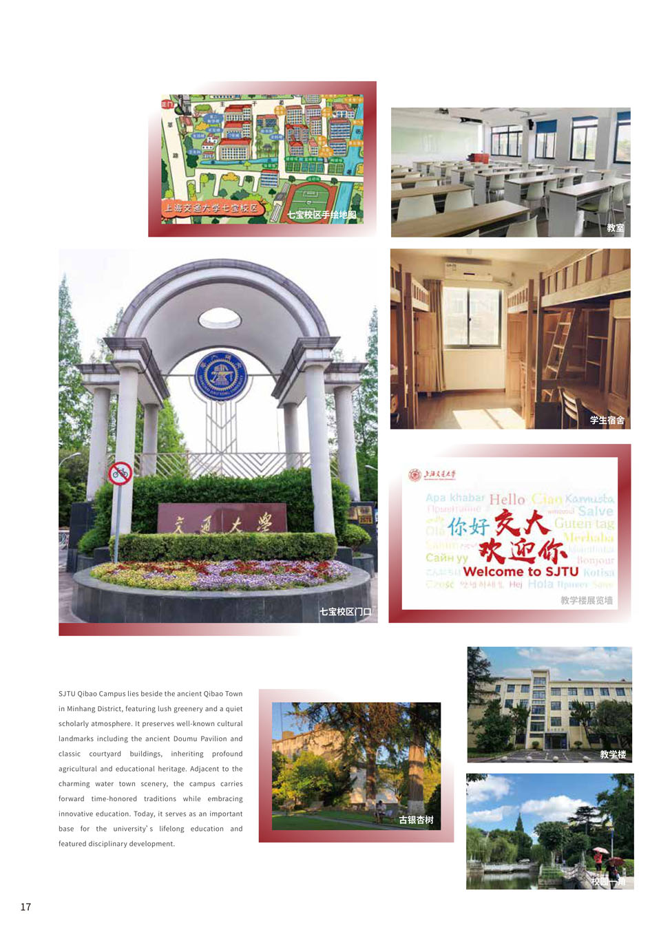 上海交通大学国际教育